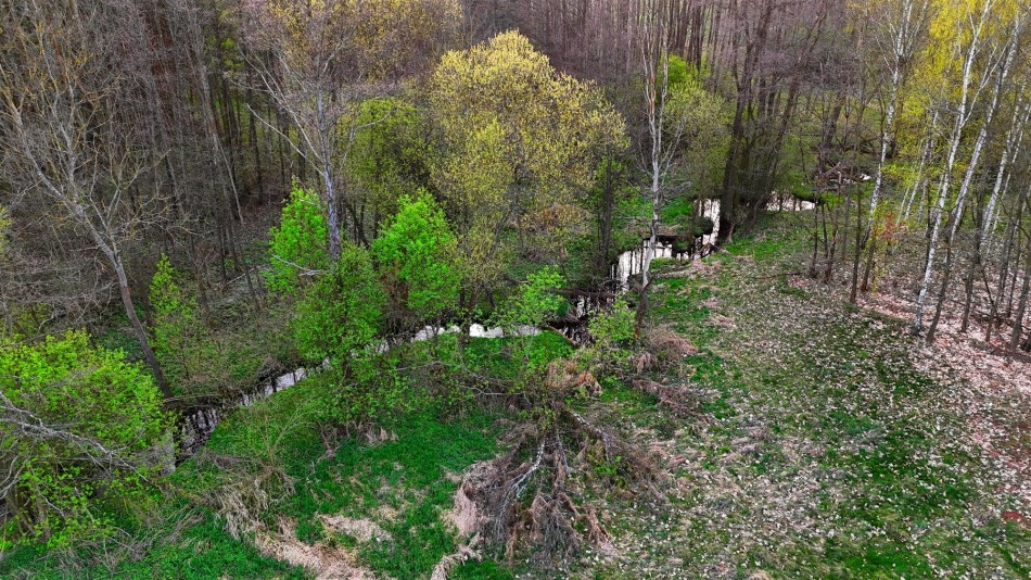 Działka Sprzedaż - mazowieckie, zwoleński, Kazanów, Ostrówka