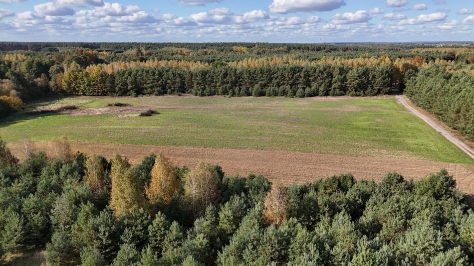 Działka Sprzedaż - mazowieckie, zwoleński, Kazanów, Ostrówka