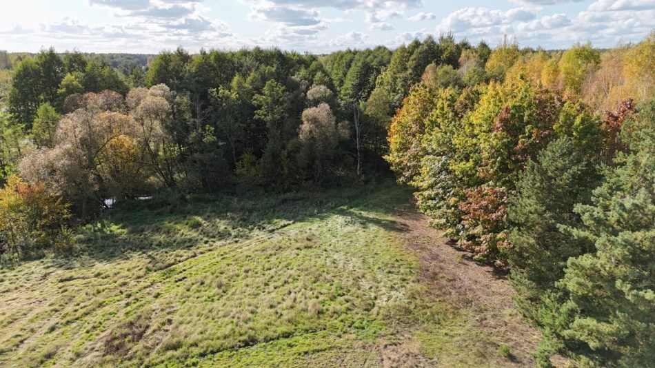 Działka Sprzedaż - mazowieckie, zwoleński, Kazanów, Ostrówka