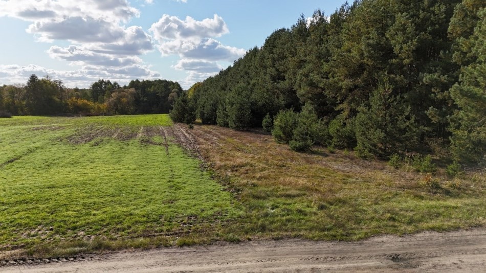 Działka Sprzedaż - mazowieckie, zwoleński, Kazanów, Ostrówka