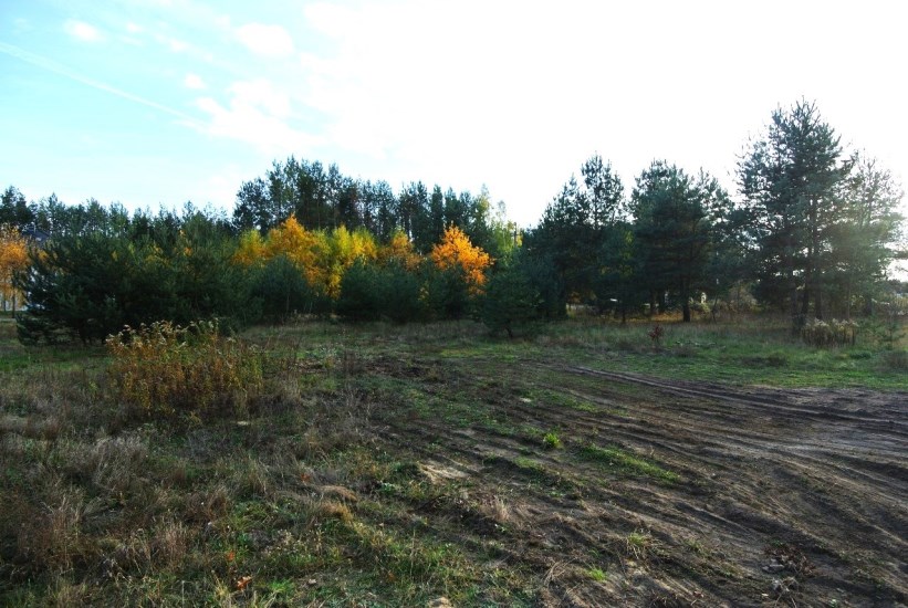 Działka Sprzedaż - mazowieckie, grodziski, Grodzisk Mazowiecki (gw), Marynin